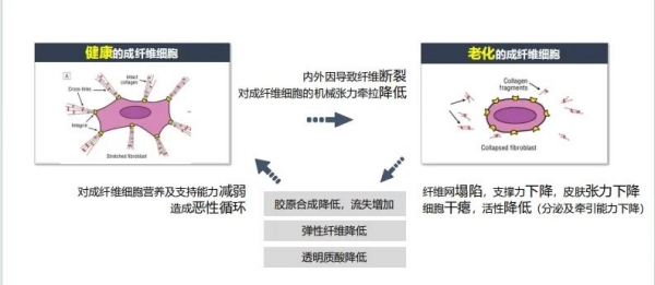 不同类型的透明质酸钠，有什么区别？